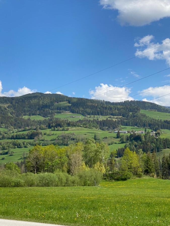 Appartements By Chalet Reiteralm -Sommercard Schladming Kültér fotó